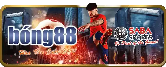 Hoàn trả tiền cược hàng ngày